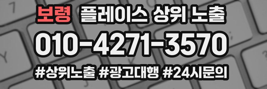보령 플레이스 상위 노출