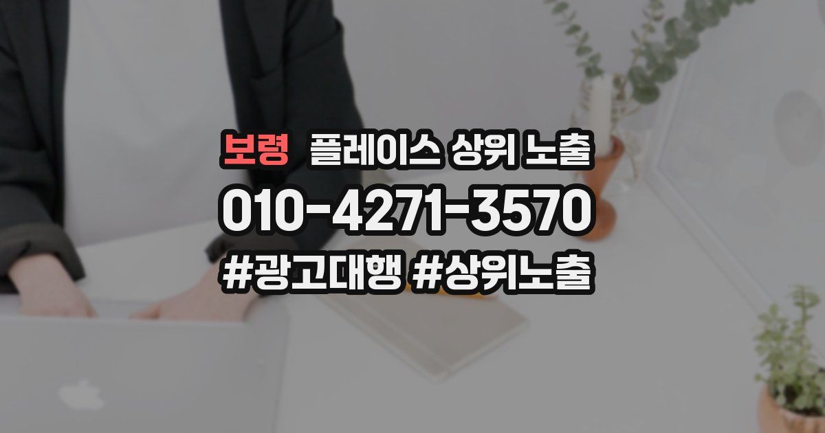 보령 플레이스 상위 노출