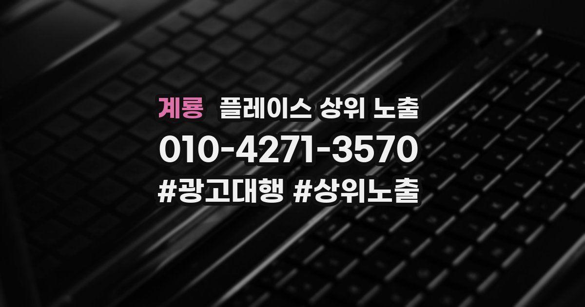 계룡 플레이스 상위 노출