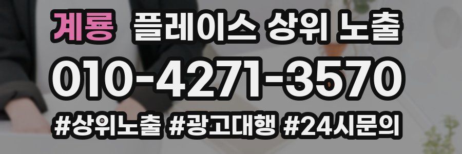 계룡 플레이스 상위 노출