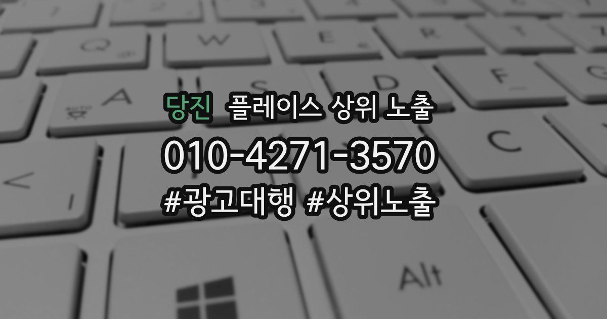 당진 플레이스 상위 노출