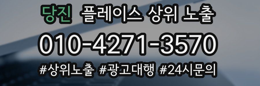 당진 플레이스 상위 노출
