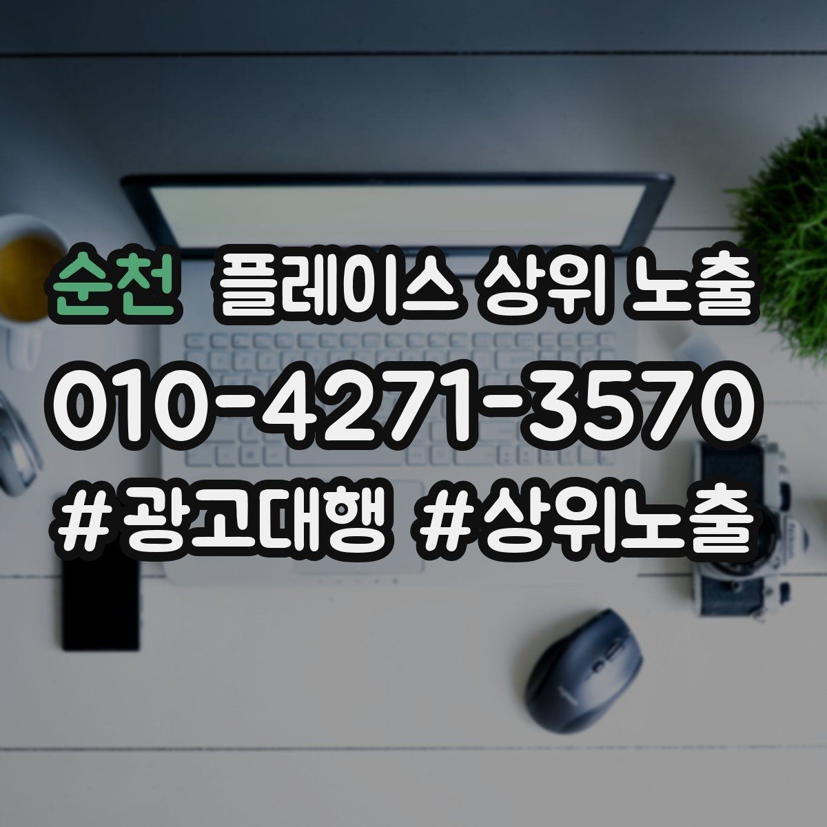 순천 플레이스 상위 노출 테스트확대 순서로 안정적으로 키우기