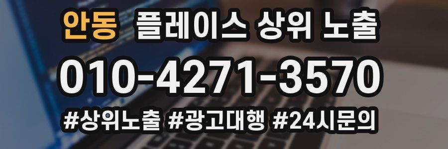 안동 플레이스 상위 노출