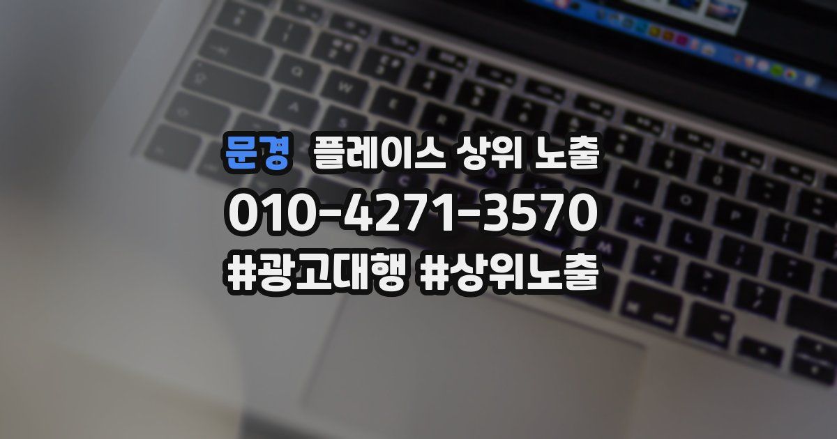 문경 플레이스 상위 노출