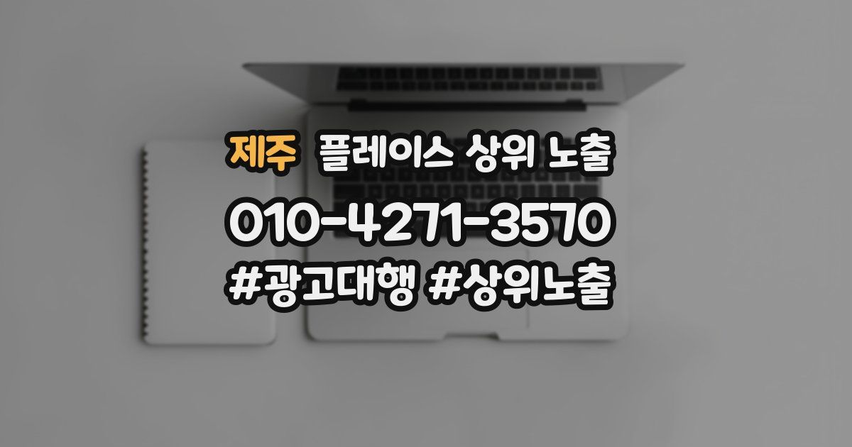 제주 플레이스 상위 노출