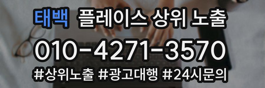태백 플레이스 상위 노출