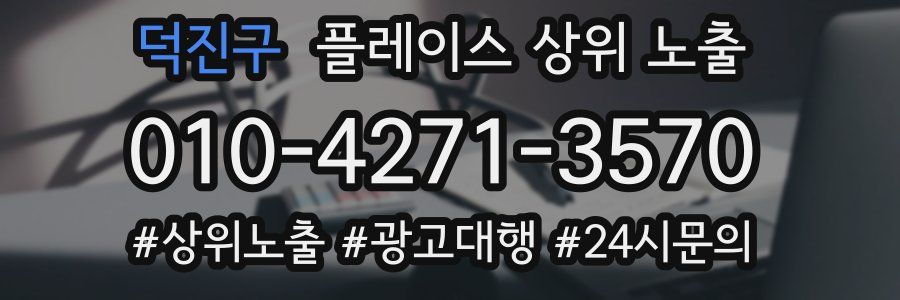 덕진구 플레이스 상위 노출