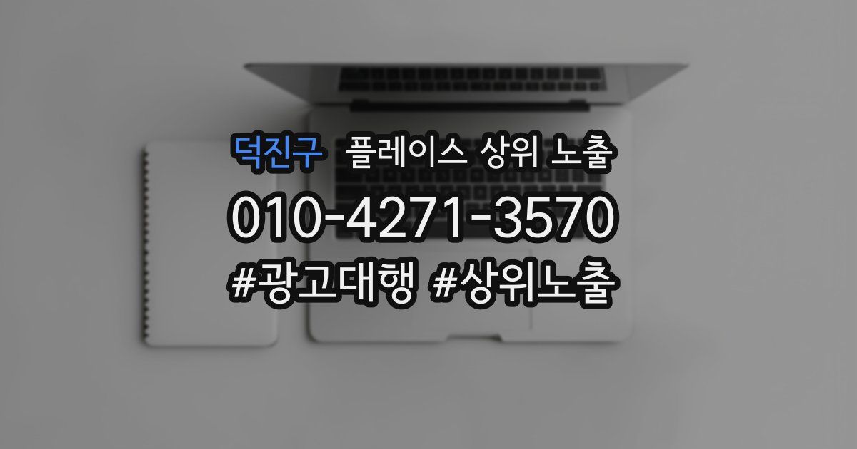 덕진구 플레이스 상위 노출