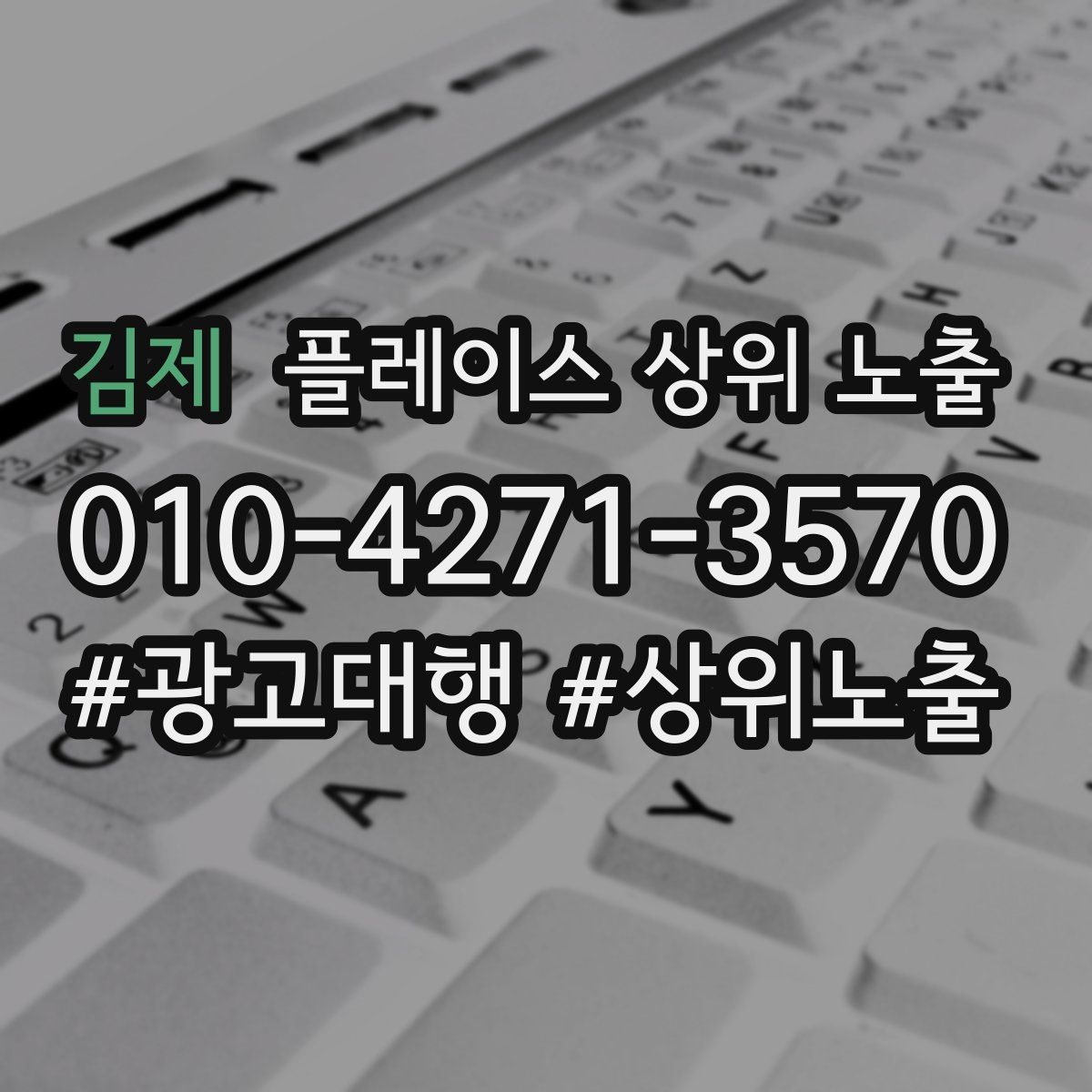 김제 플레이스 상위 노출