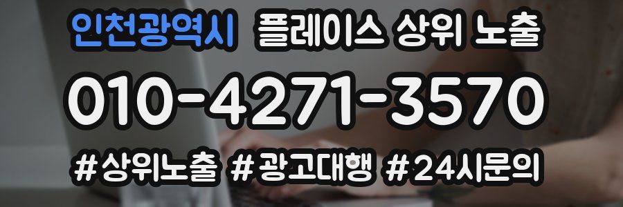 인천광역시 플레이스 상위 노출