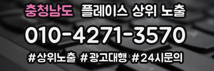 충청남도 플레이스 상위 노출