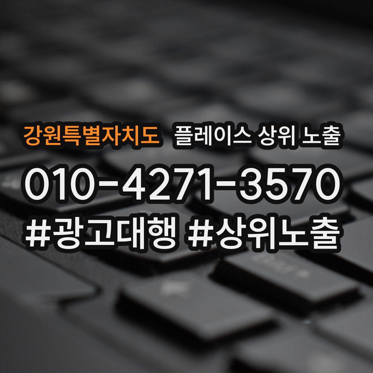 강원특별자치도 플레이스 상위 노출