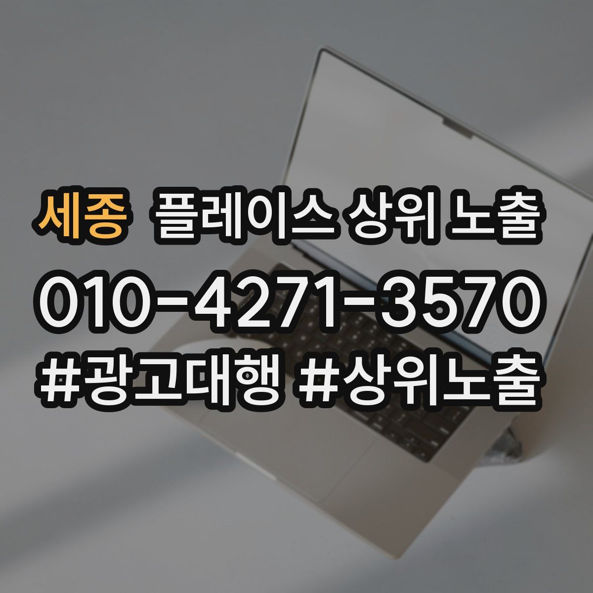 세종 플레이스 상위 노출