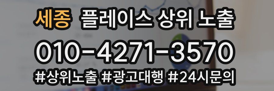세종 플레이스 상위 노출