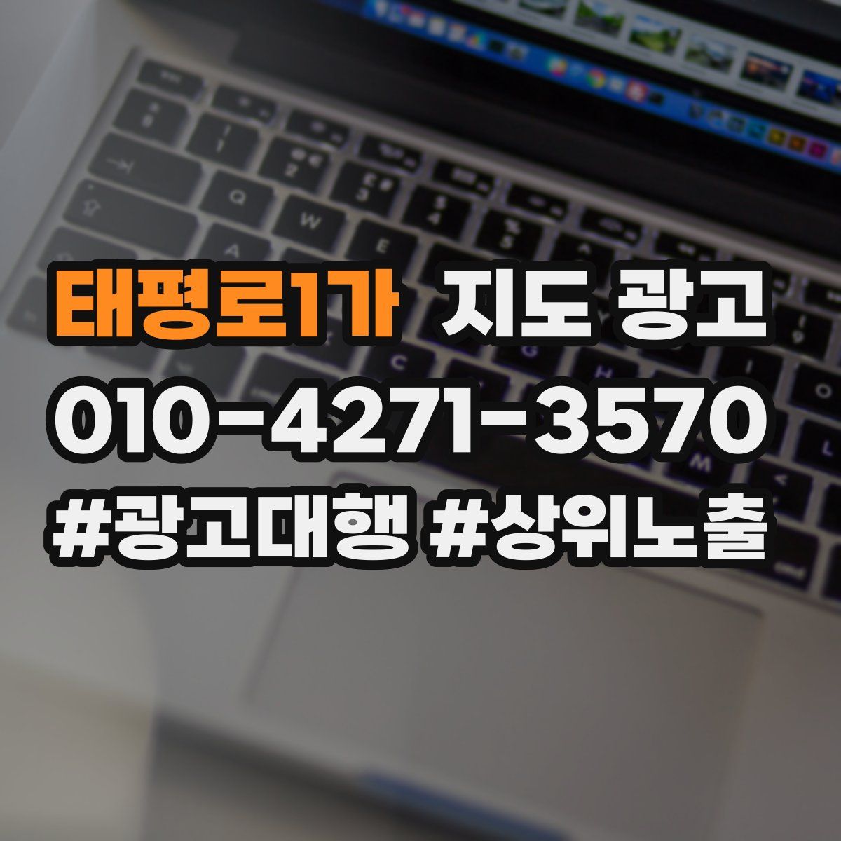 태평로1가 지도 광고