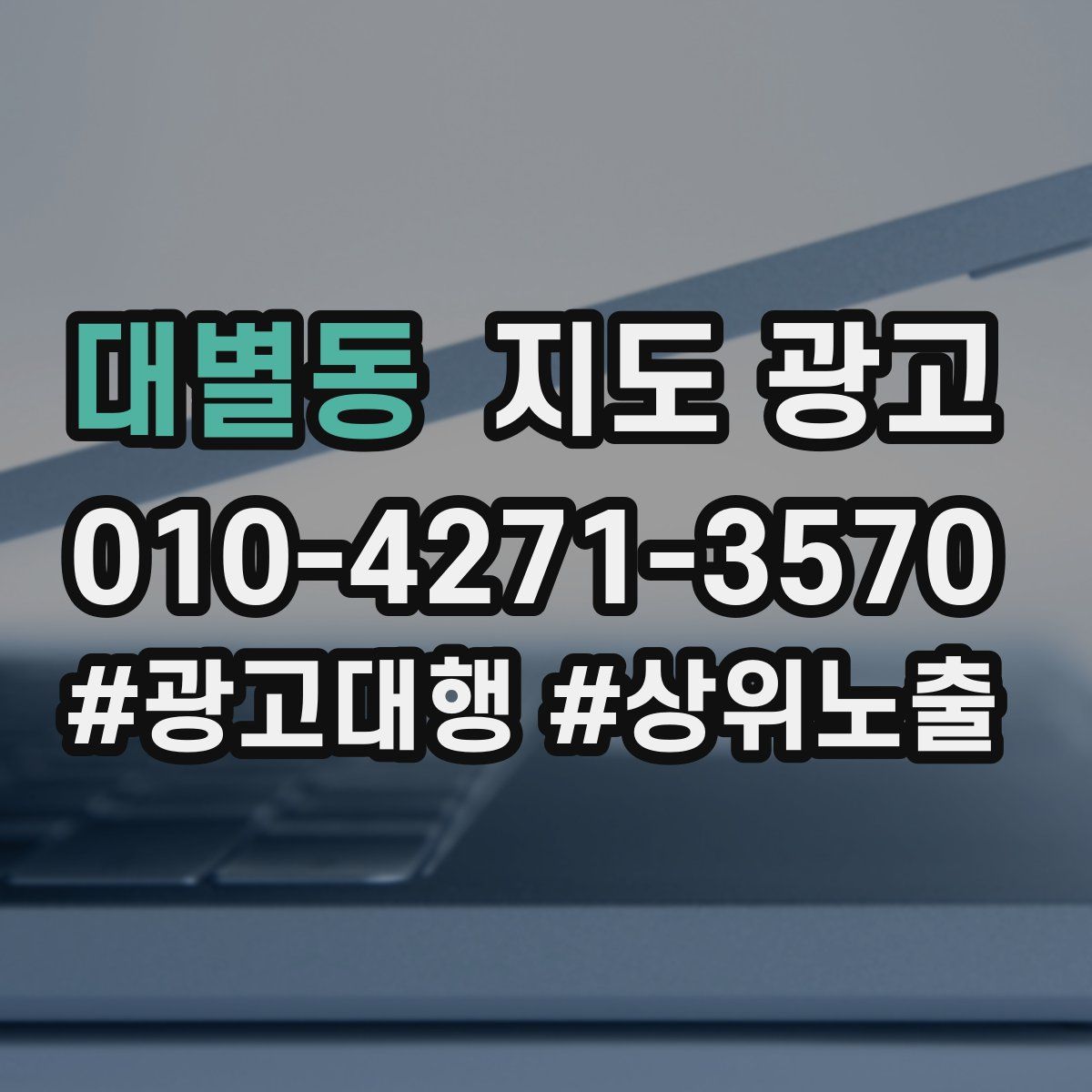 대별동 지도 광고