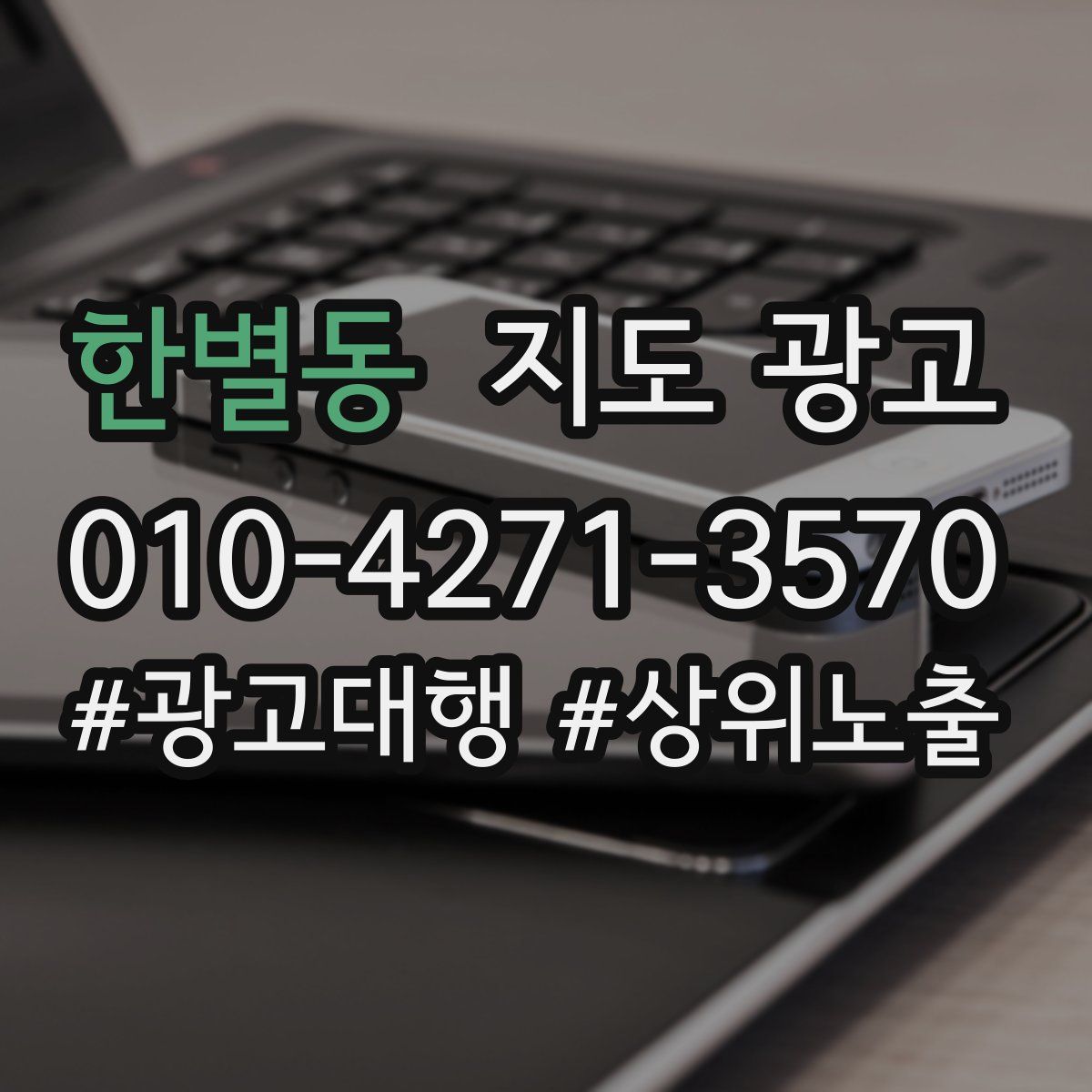 한별동 지도 광고
