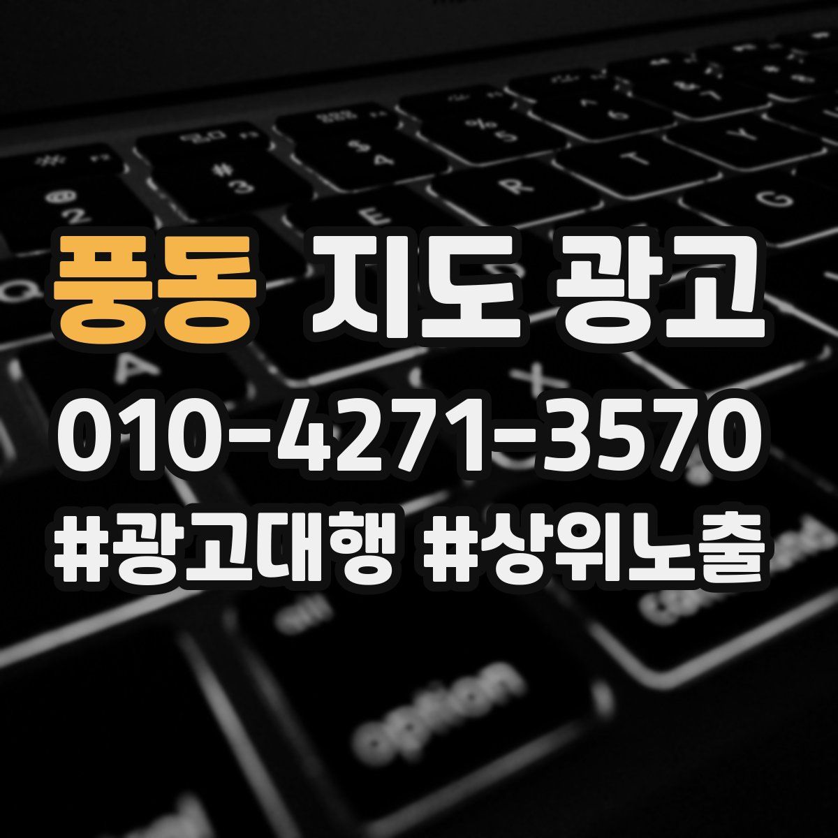 풍동 지도 광고