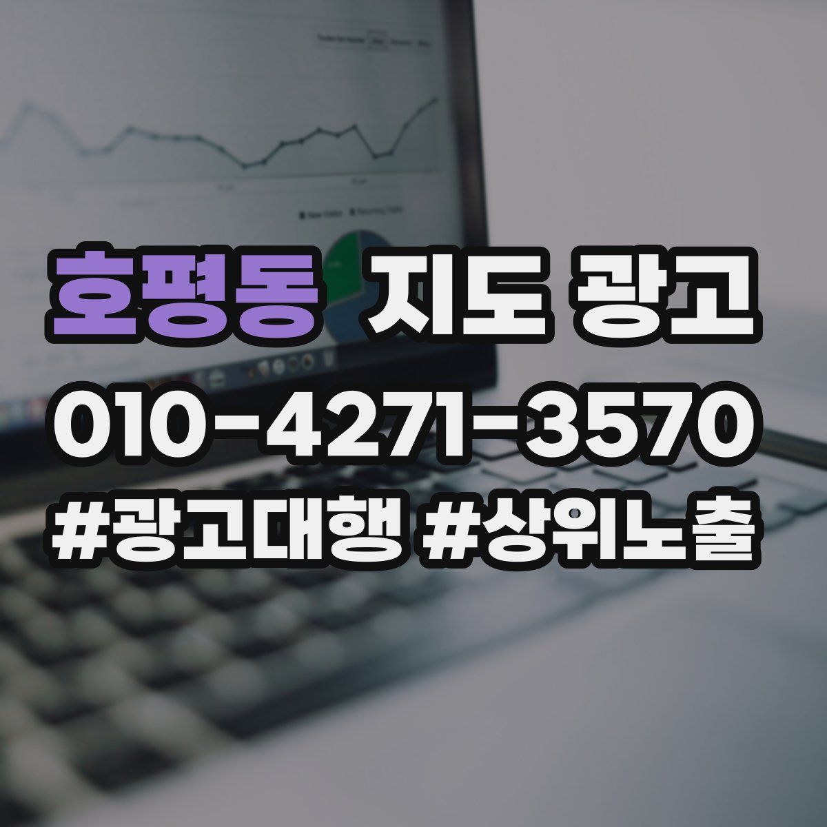 호평동 지도 광고