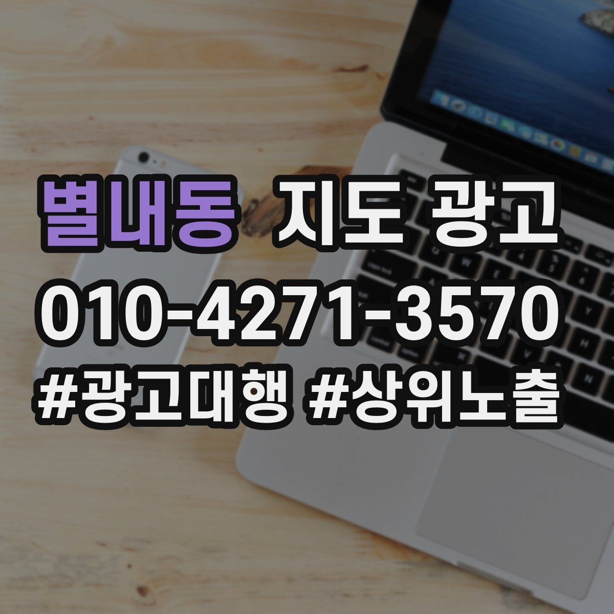 별내동 지도 광고