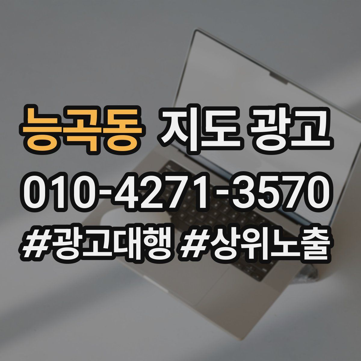 능곡동 지도 광고