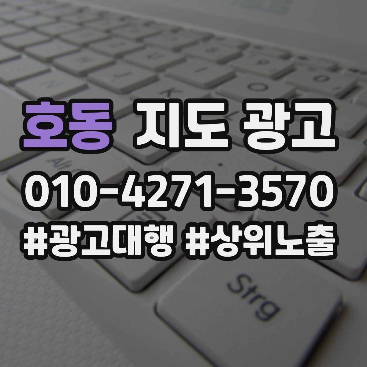 호동 지도 광고