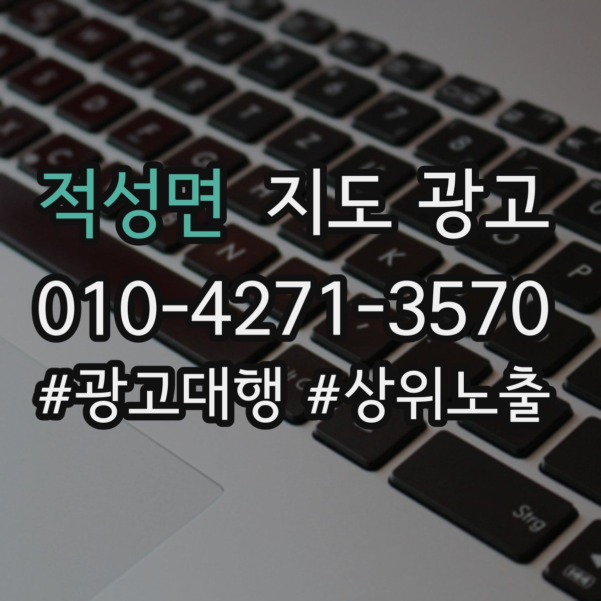 적성면 지도 광고