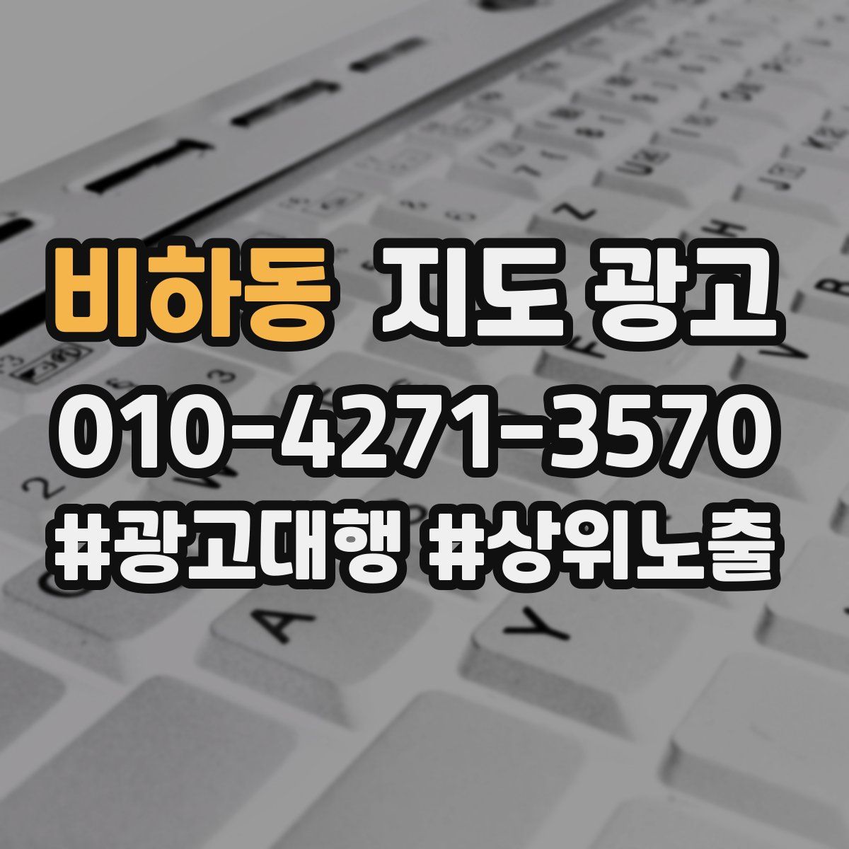 비하동 지도 광고