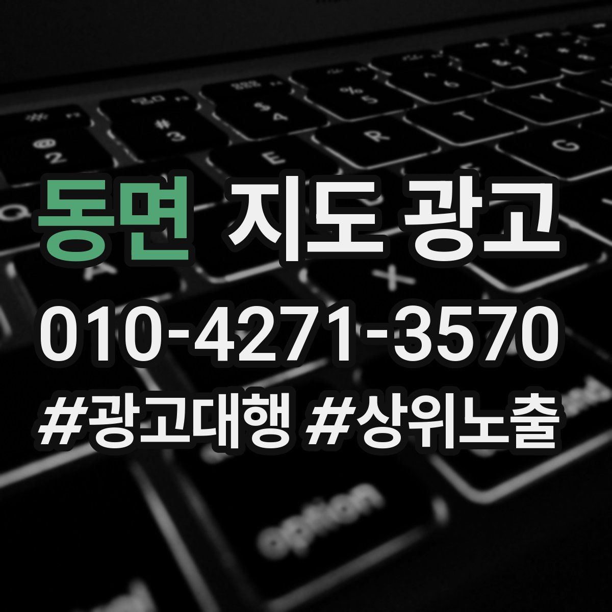 동면 지도 광고