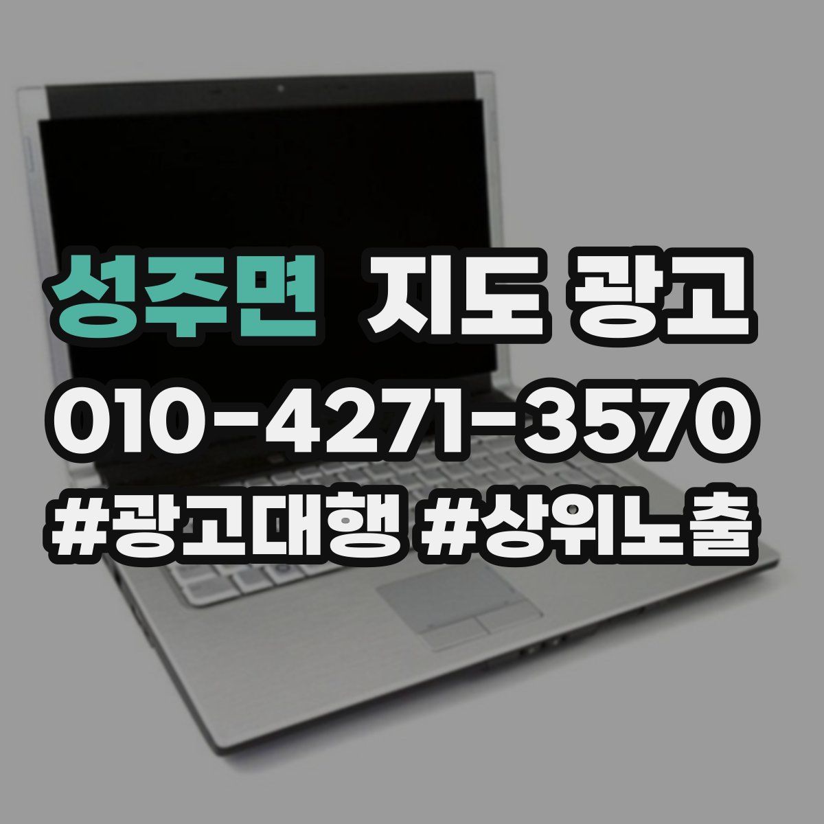 성주면 지도 광고