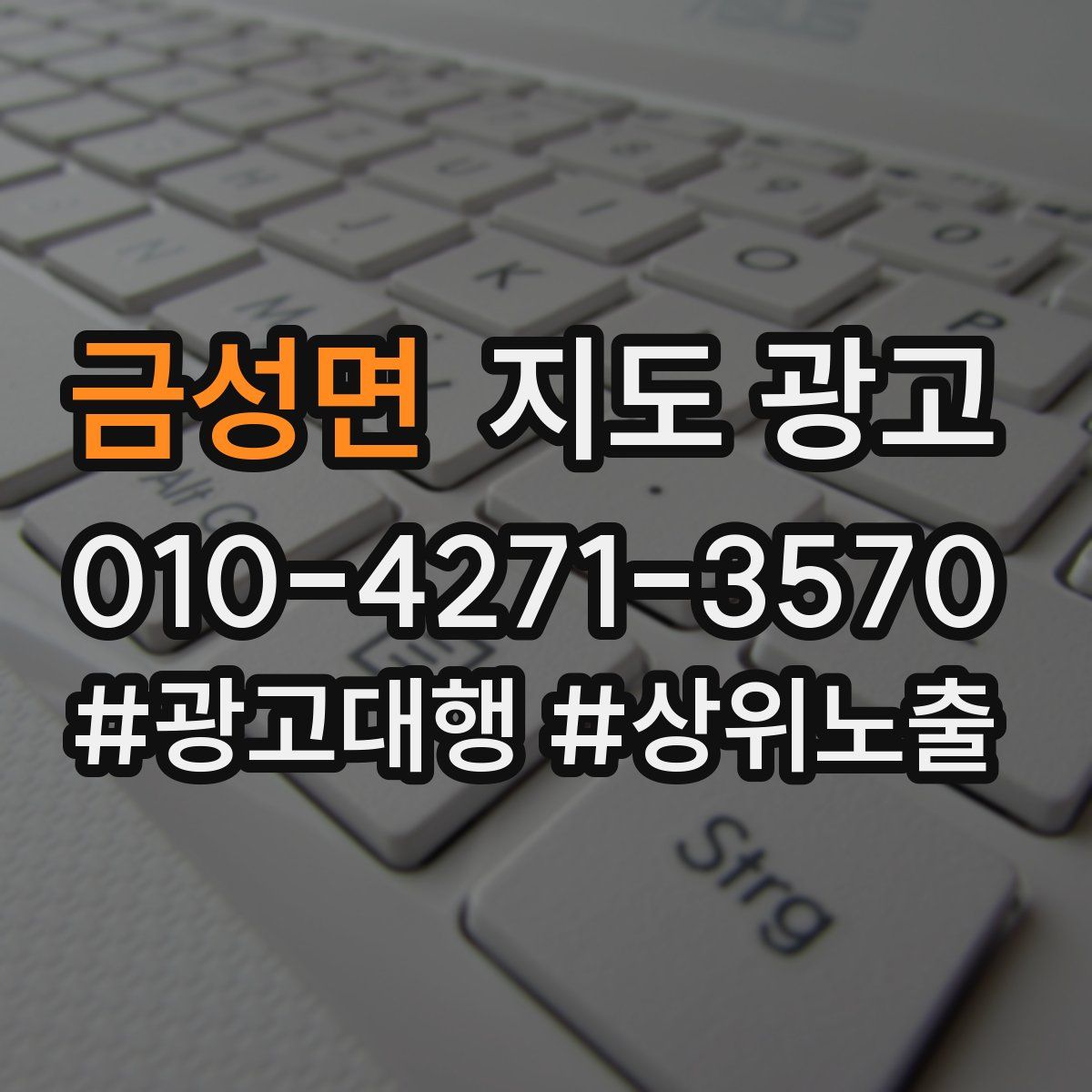 금성면 지도 광고