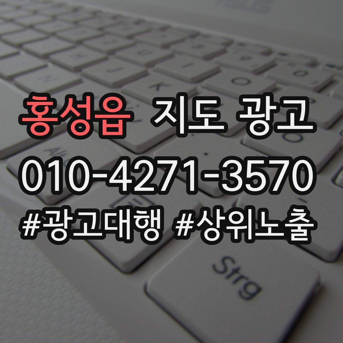홍성읍 지도 광고