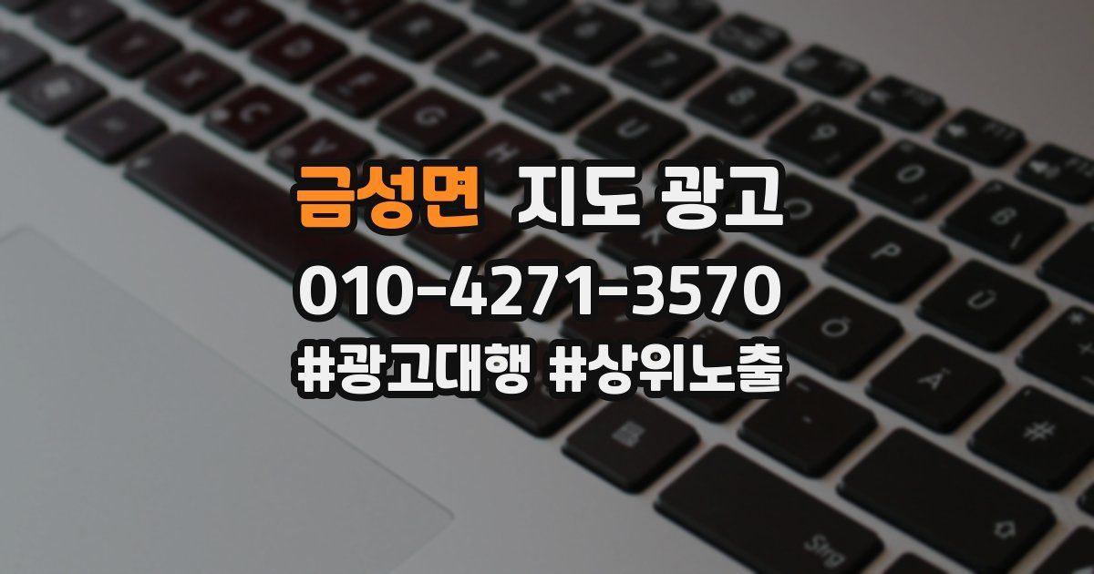 금성면 지도 광고