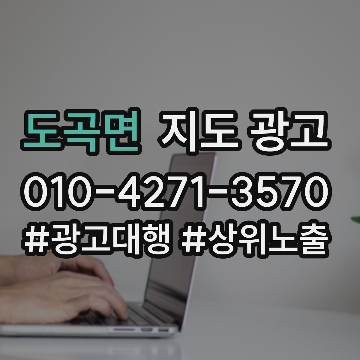 도곡면 지도 광고