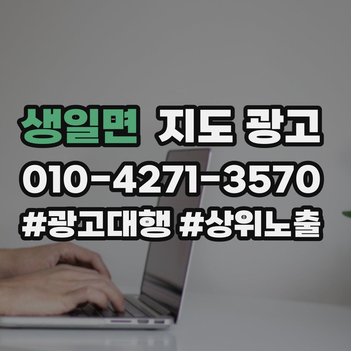 생일면 지도 광고