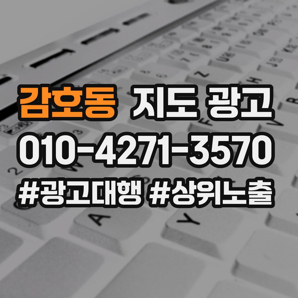 감호동 지도 광고
