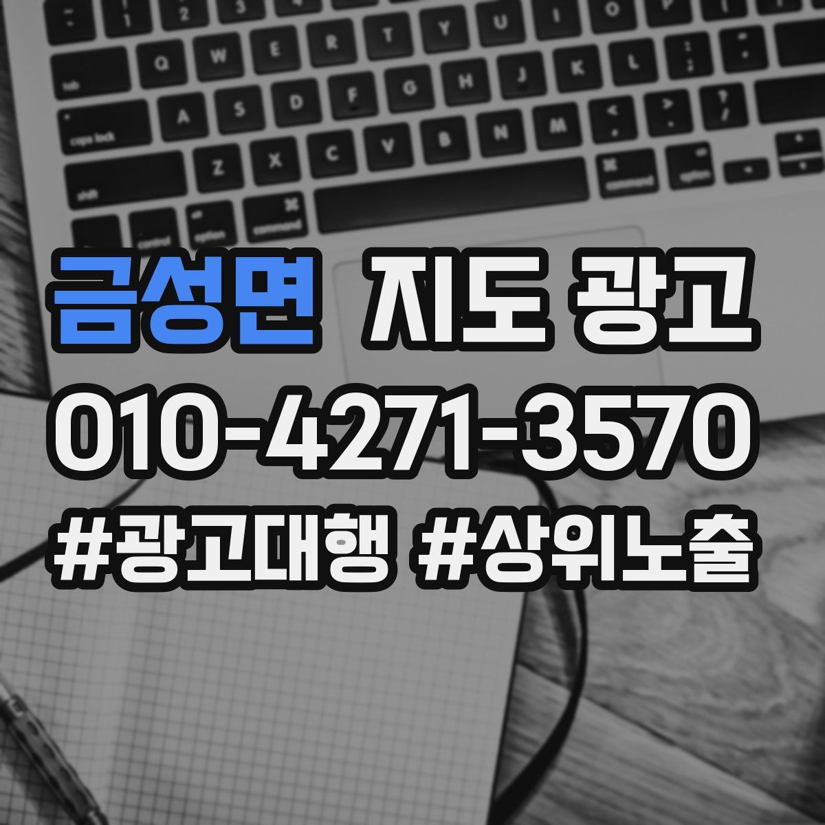 금성면 지도 광고