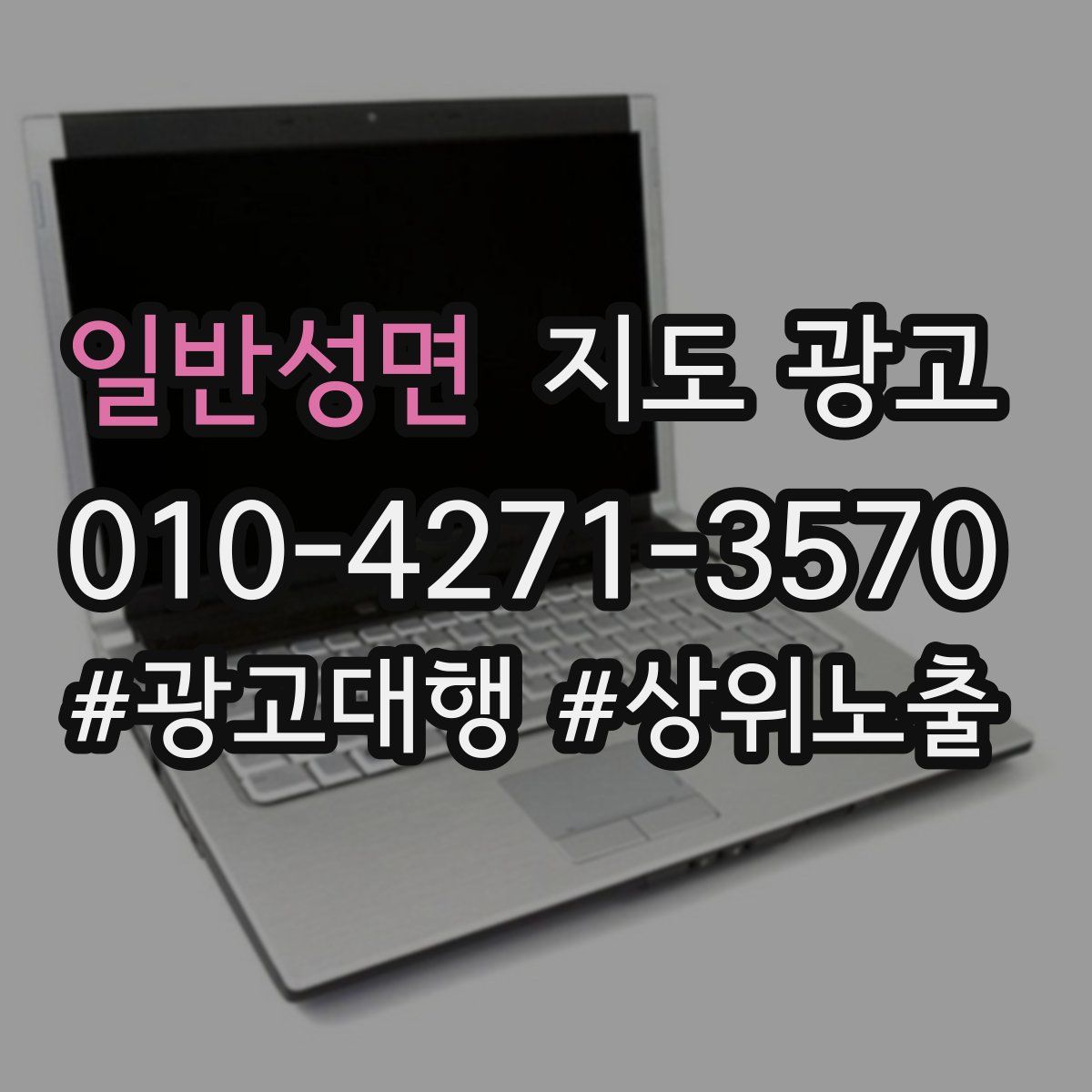 일반성면 지도 광고