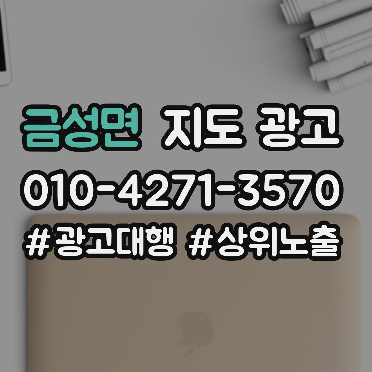 금성면 지도 광고