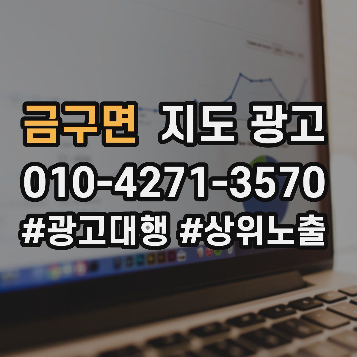 금구면 지도 광고