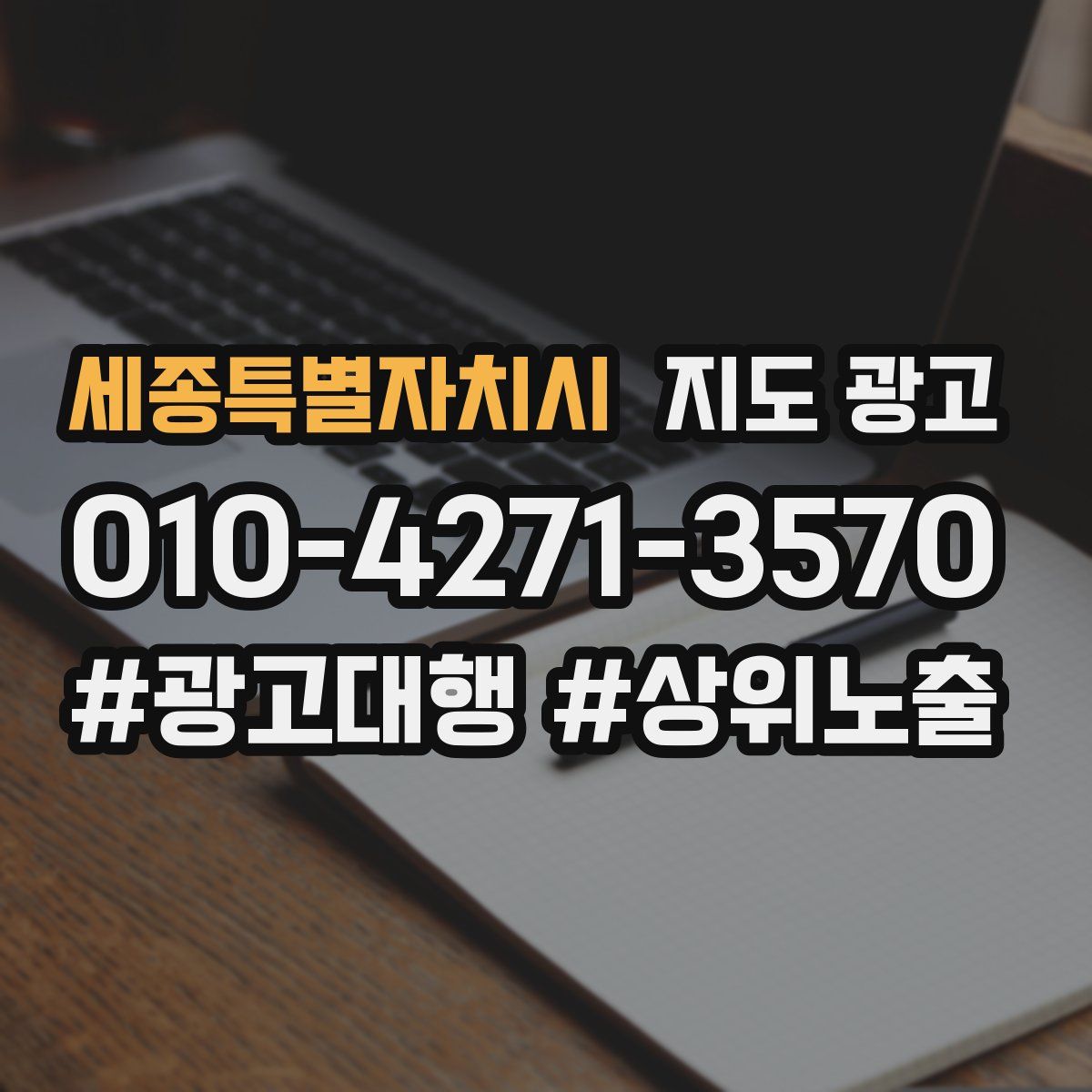 세종특별자치시 지도 광고