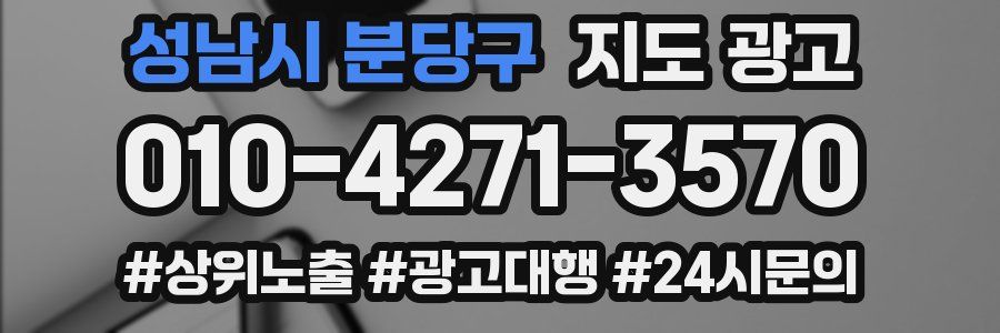 성남시 분당구 지도 광고