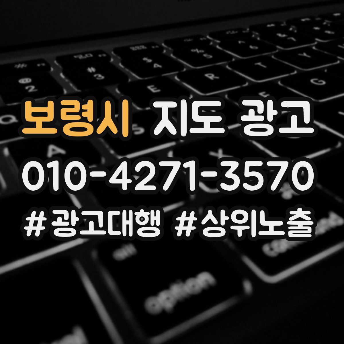 보령시 지도 광고