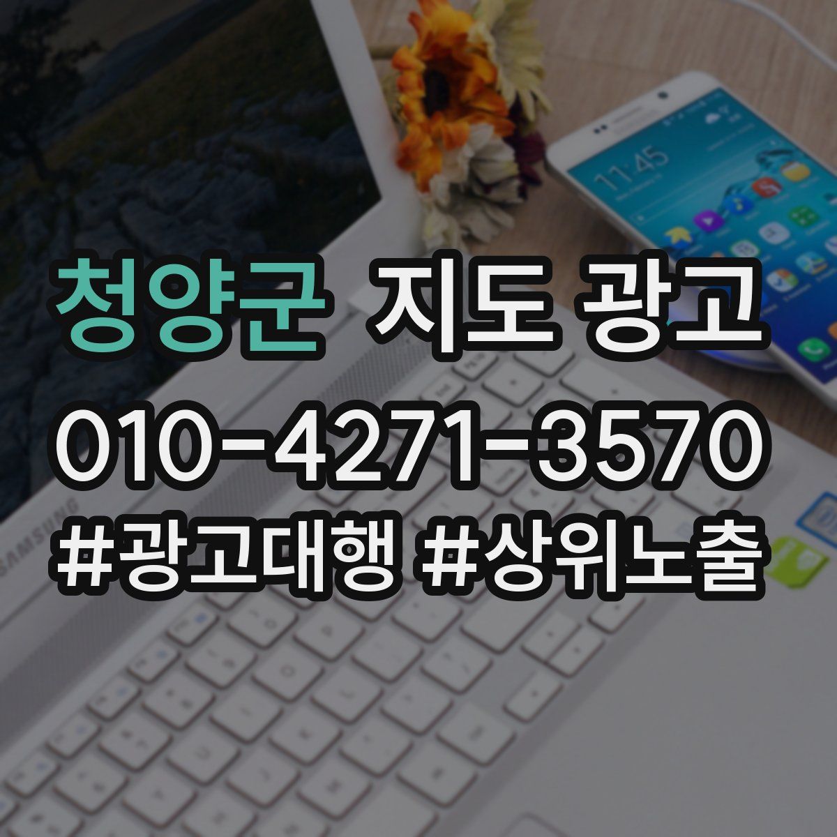 청양군 지도 광고