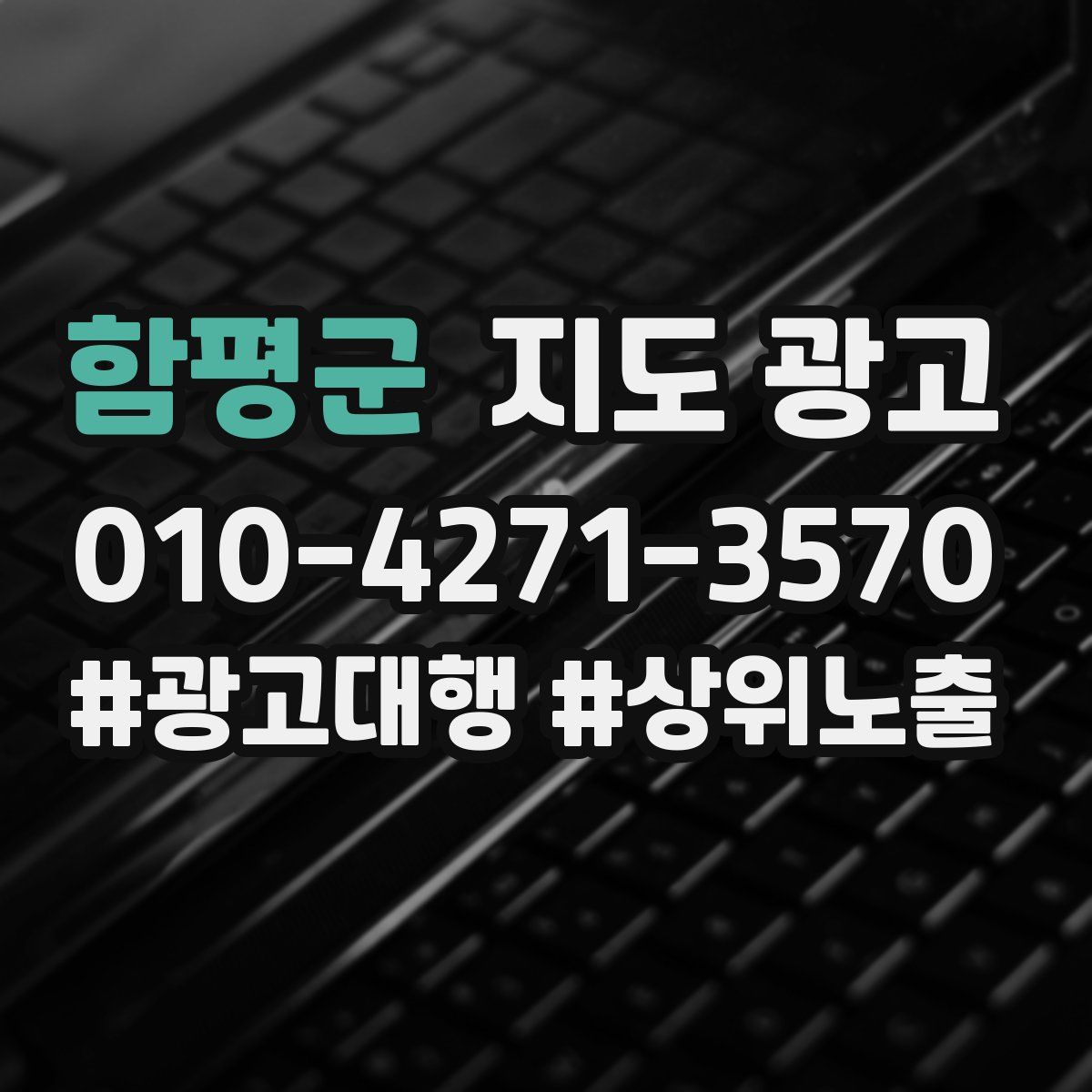 함평군 지도 광고