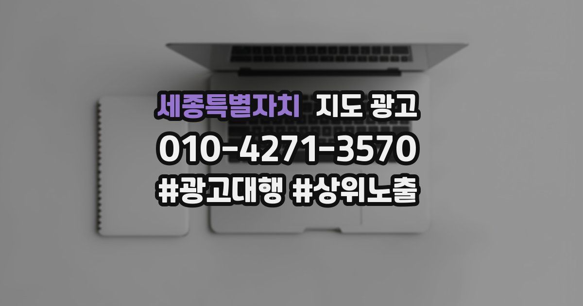 세종특별자치 지도 광고