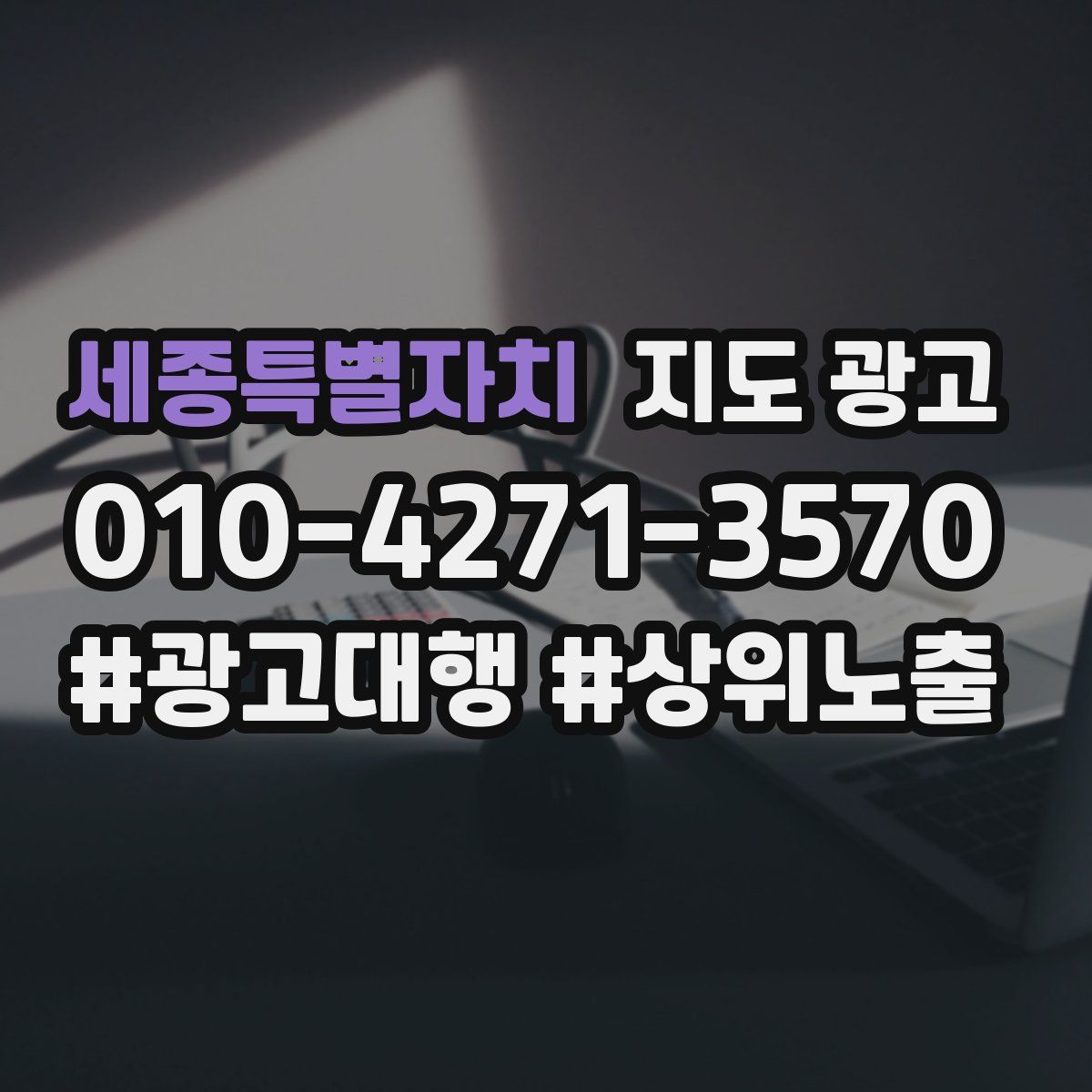 세종특별자치 지도 광고