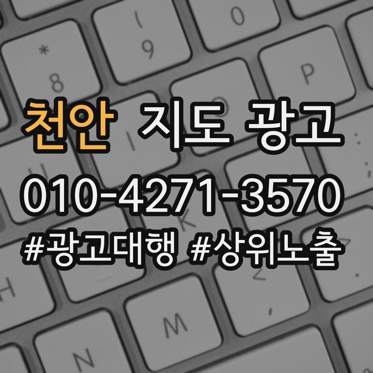 천안 지도 광고
