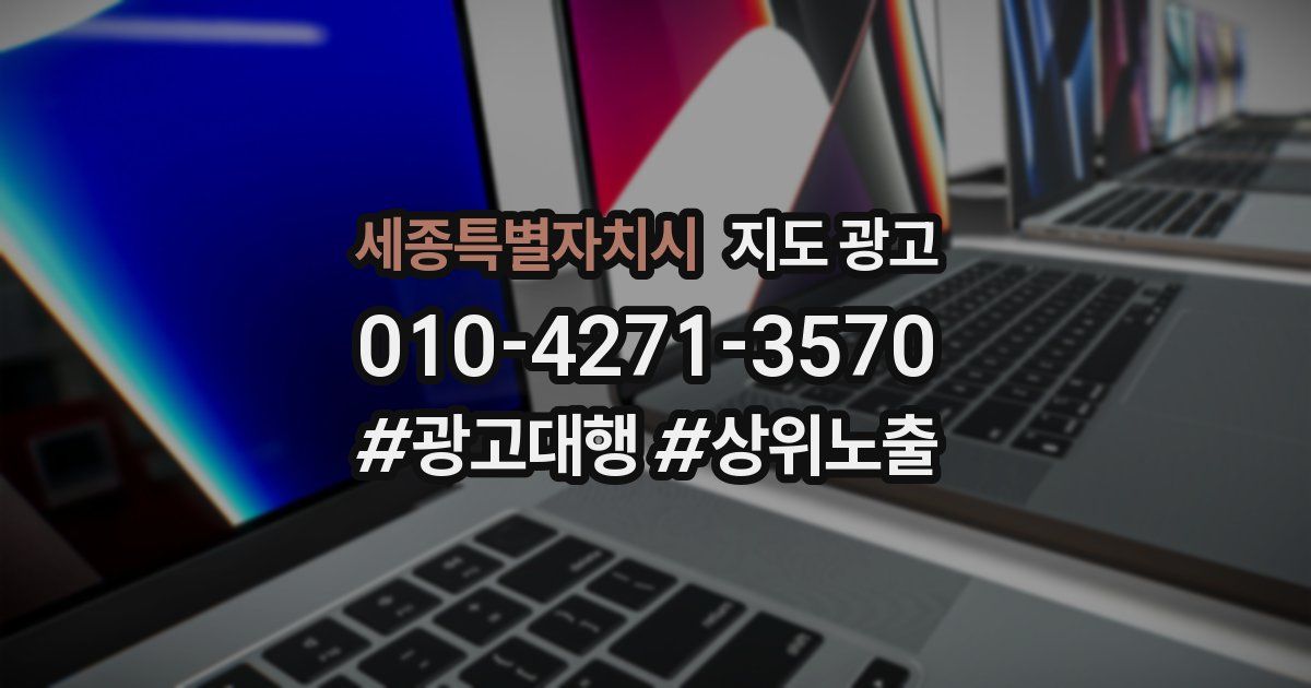 세종특별자치시 지도 광고